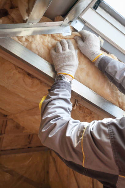 Best Insulation Removal  in Monticello, GA