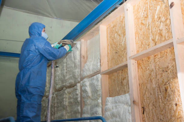 Best Cellulose Insulation  in Monticello, GA